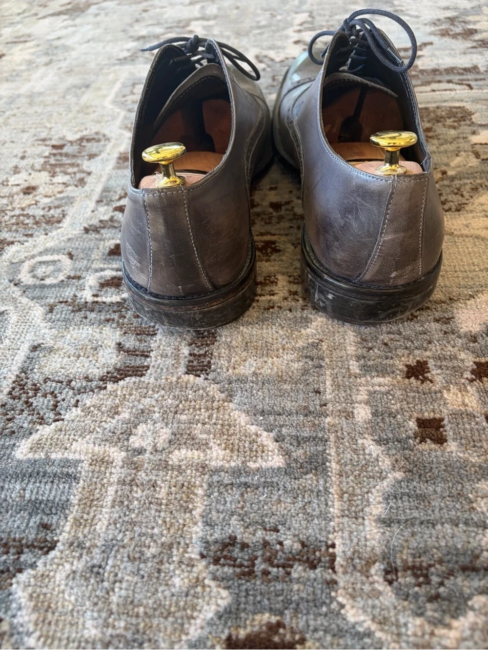 To Boot Gray Leather Wingtip Oxfords